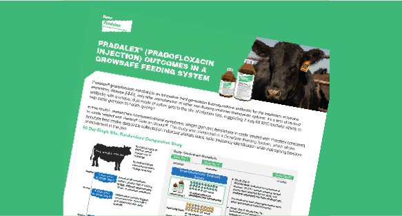 Infographic on Pradalex® outcomes in a GrowSafe feeding system.
