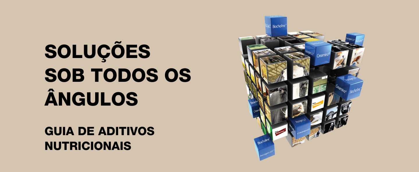 Guia de aditivos nutricionais Elanco Desktop