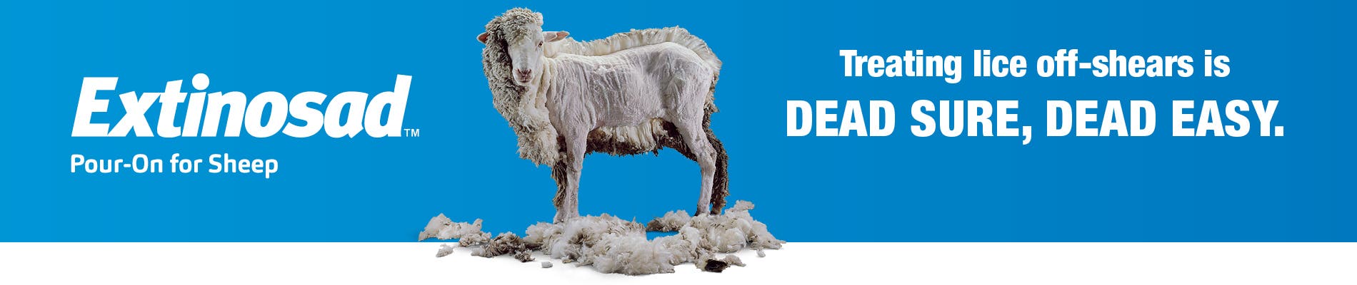 Extinosad Pour-On for Sheep | Elanco Australia
