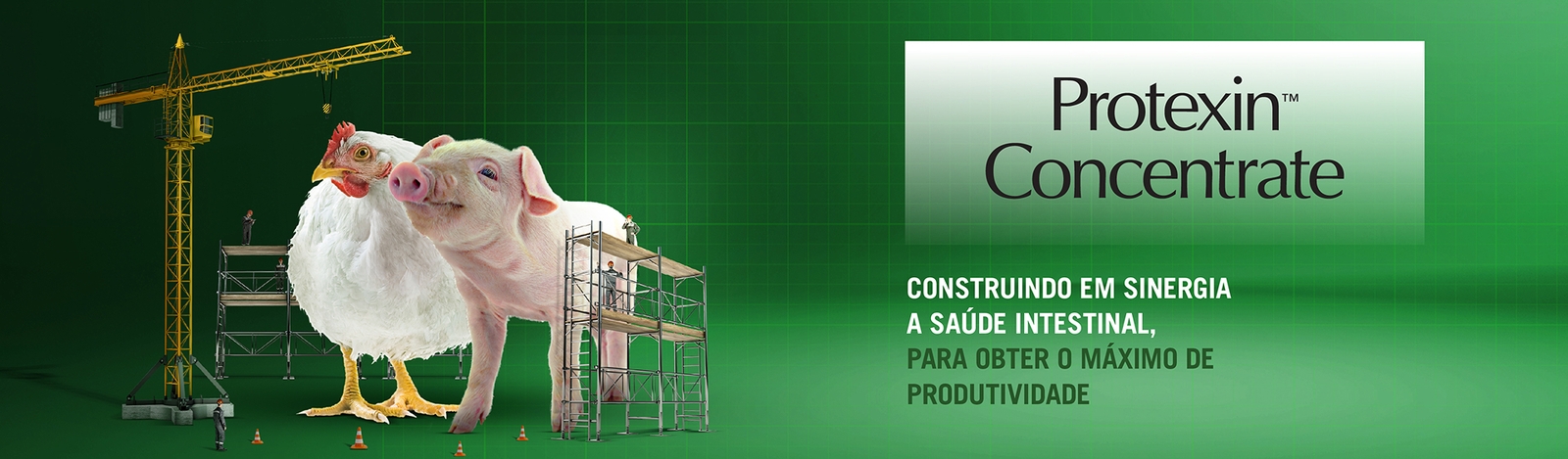 Protexin Concentrate Banner Principal