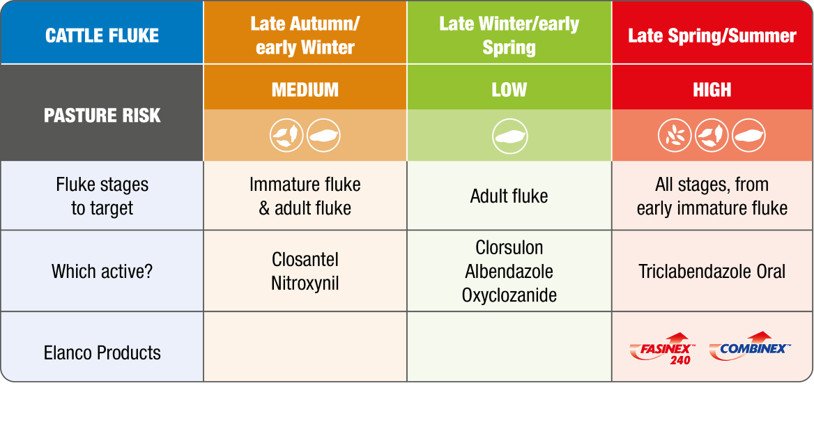 Table showing which active ingredients and Elanco products to use to treat liver fluke in cattle