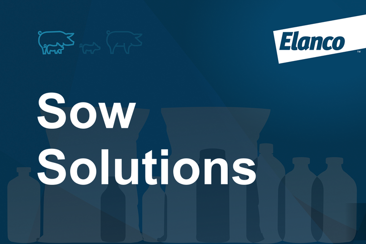 Sow Solutions Card Image