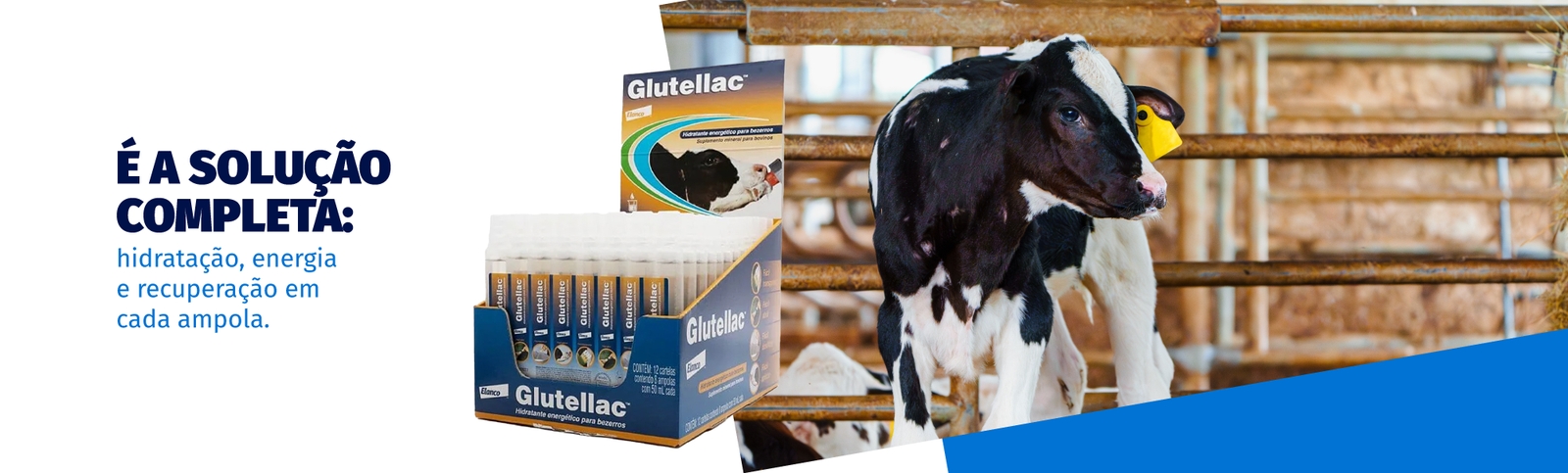 Glutellac™ Hidratação que nutre, recuperação que importa