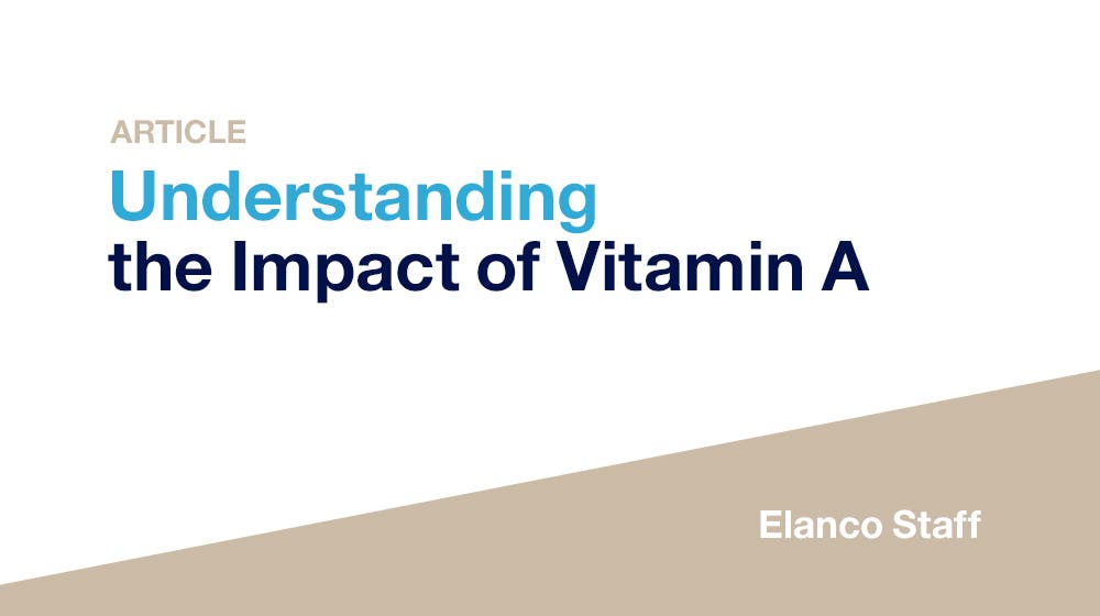 Understanding Vitamin A as a Biomarker of Inflammation in Swine- Content Thumbnail