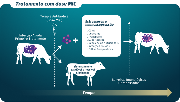 gráfico tratamento com dose