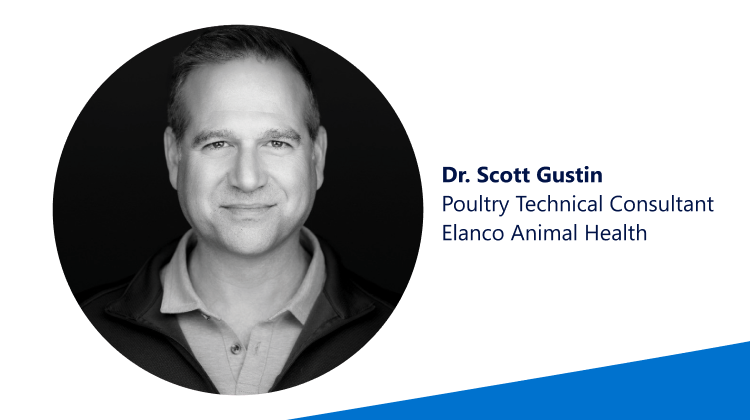 Scott Gustin Thumbnail