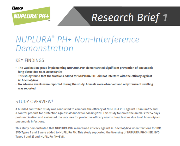 Nuplura research brief