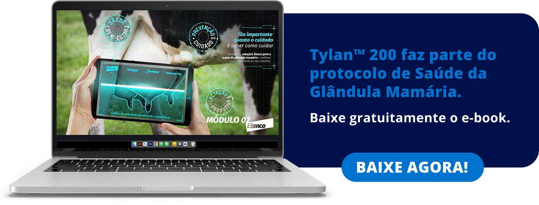 ebook glandula mamária