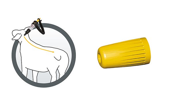 Use the straight nozzle when applying Crovect for tick control in sheep