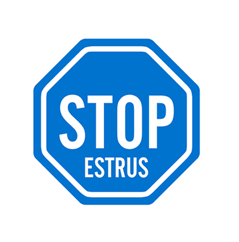 Stop Icon