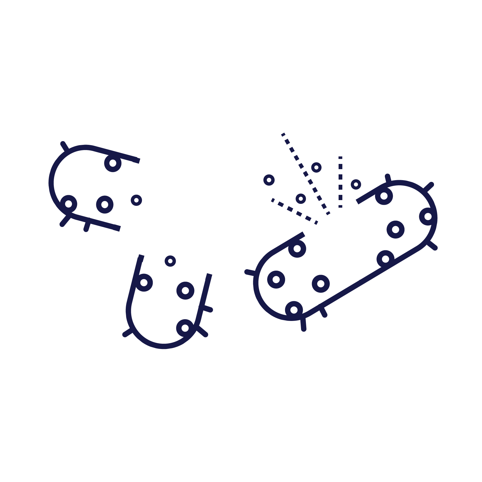 This image shows the chromosome fragmenting which results in rapid cell death.