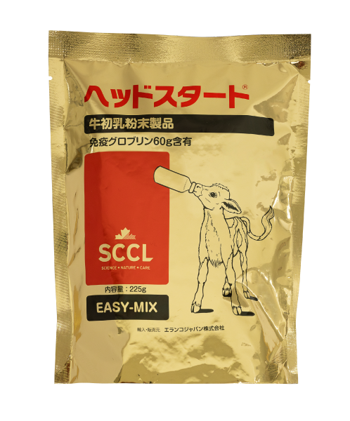 ヘッドスタート パッケージ写真