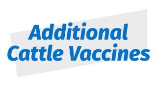 Additional Cattle Vaccines 