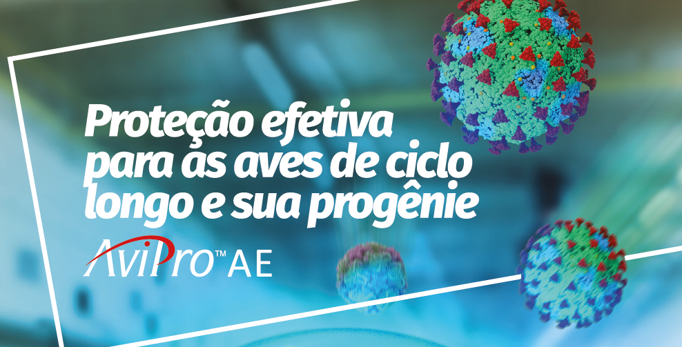 AviPro AE é uma vacina viva contra a Encefalomielite Aviária