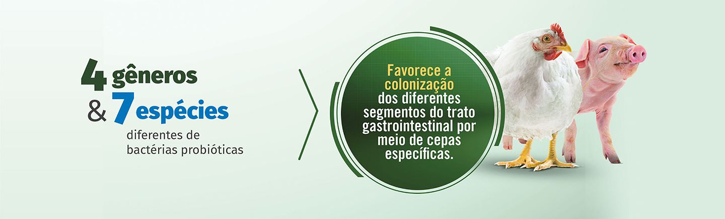 4 generos e 7 especies