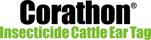 Corathon logo in large, bold black text above 'Insecticide Cattle Ear Tag' in smaller, bold bright green text.
