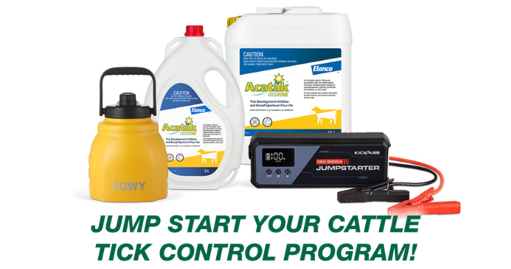 Acatak Duostar Spring Promo 2026
