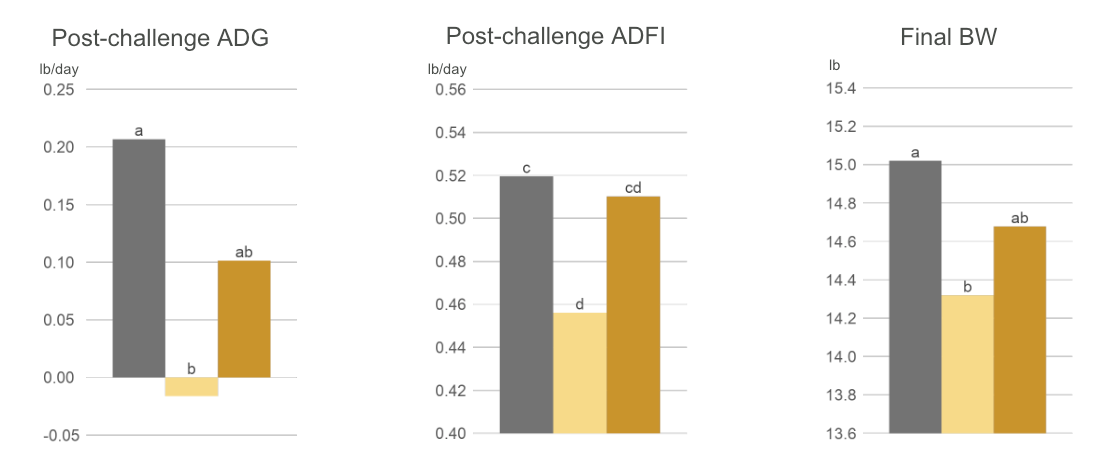 Proteck Meta Analysis Image 2