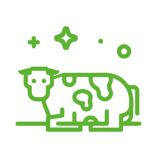 vaca Sucessão