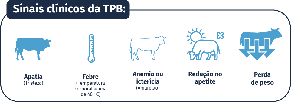 Sinais clínicos da TPB