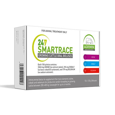 24·7 Smartrace™ Growing Cattle Boluses | Elanco Australia