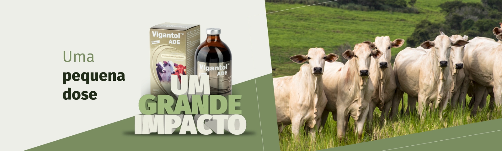 Vigantol Banner