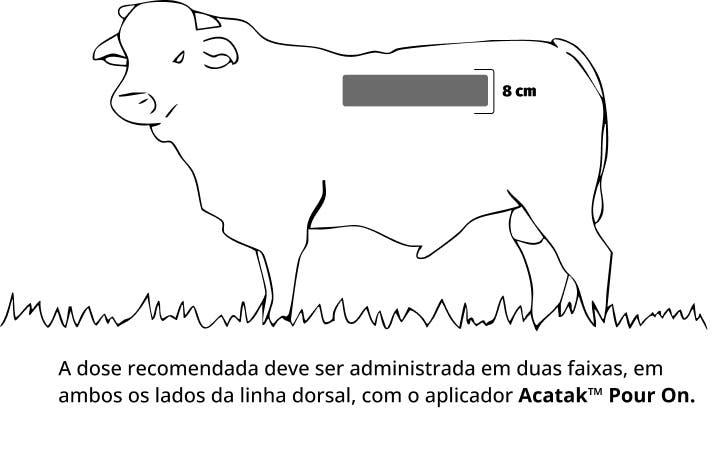 Aplicar o produto Acatak em duas faixas aos lados da linha dorsal