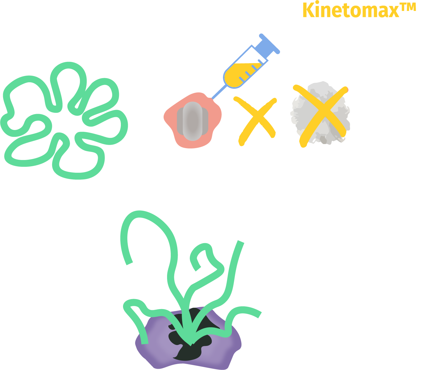 kinetomax modo de ação