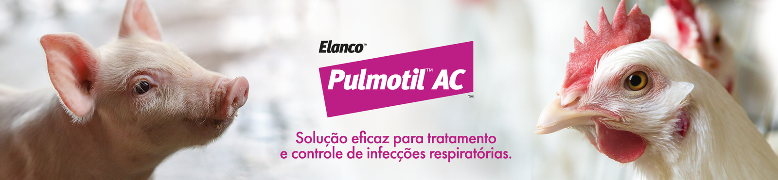 Banner Pulmotil AC Elanco