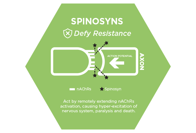 Chart showing insecticide class and spinosyns mode of action