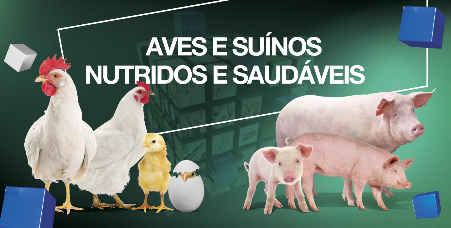 Aves e Suínos Elanco banner