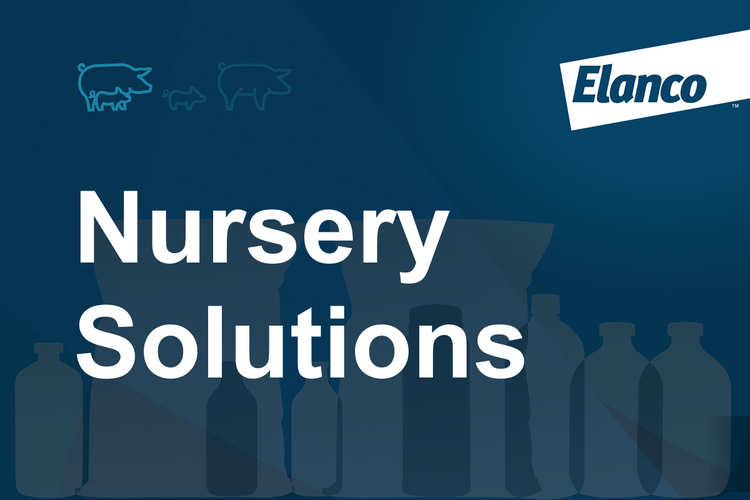 Nursery Solutions Card Image