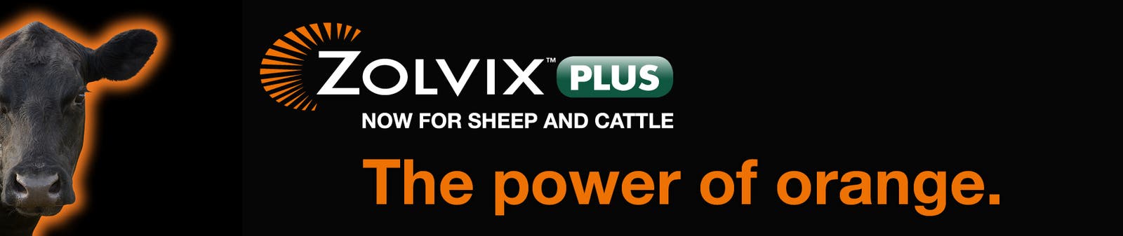 Zolvix Plus for Cattle | Elanco Australia