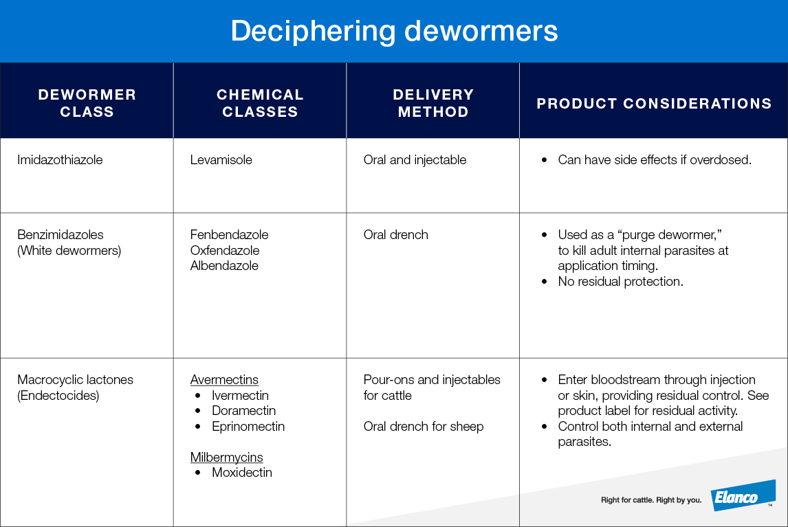 Choosing the Best Cattle Dewormer for Your Beef Herd