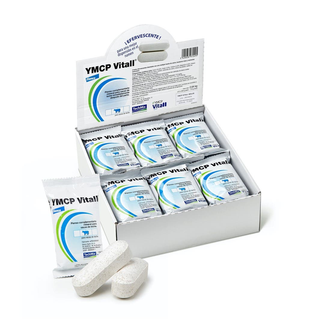 Display YMCP met 12 zakjes