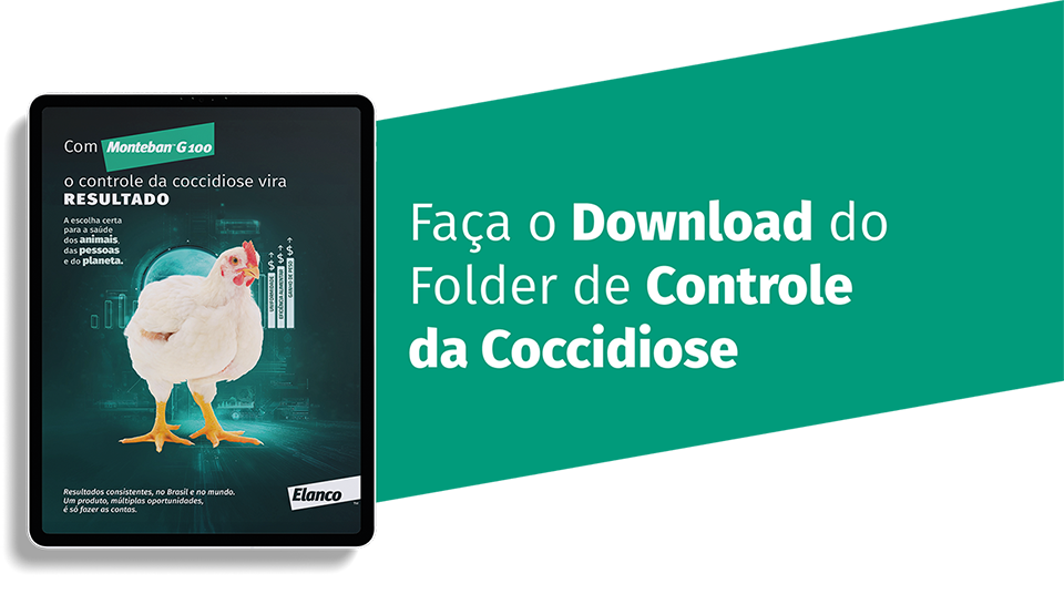Monteban Download CTA
