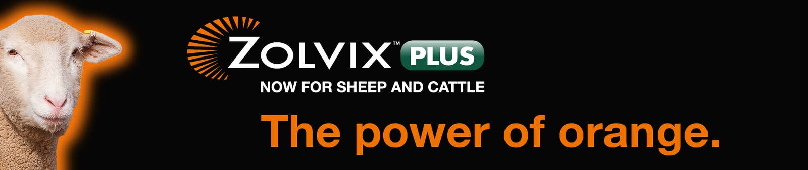 Zolvix Plus for Sheep | Elanco Australia