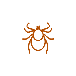 Um estudo demonstrou ser 7% mais eficiente que a doramectina referência do mercado 61% mais eficiente que ivermectina 1%.