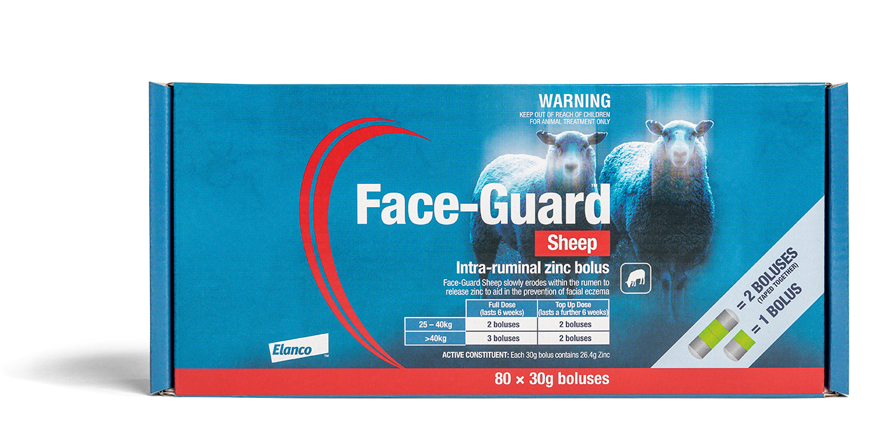 Faceguard pack