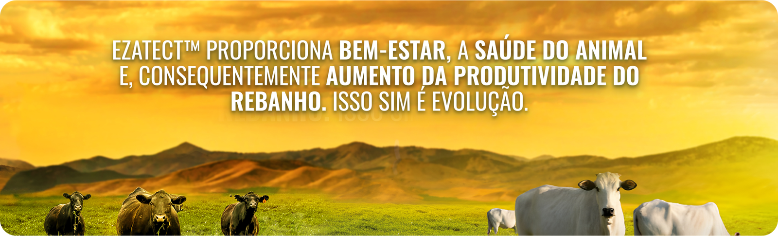 Produto Ezatect Elanco – combinação de ivermectina, abamectina e doramectina para bovinos