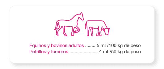 Catosal Dairy Beef