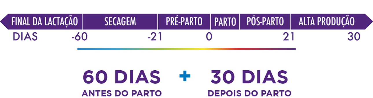 Lactação, secagem, pre-parto, parto, pós parto, alta produção