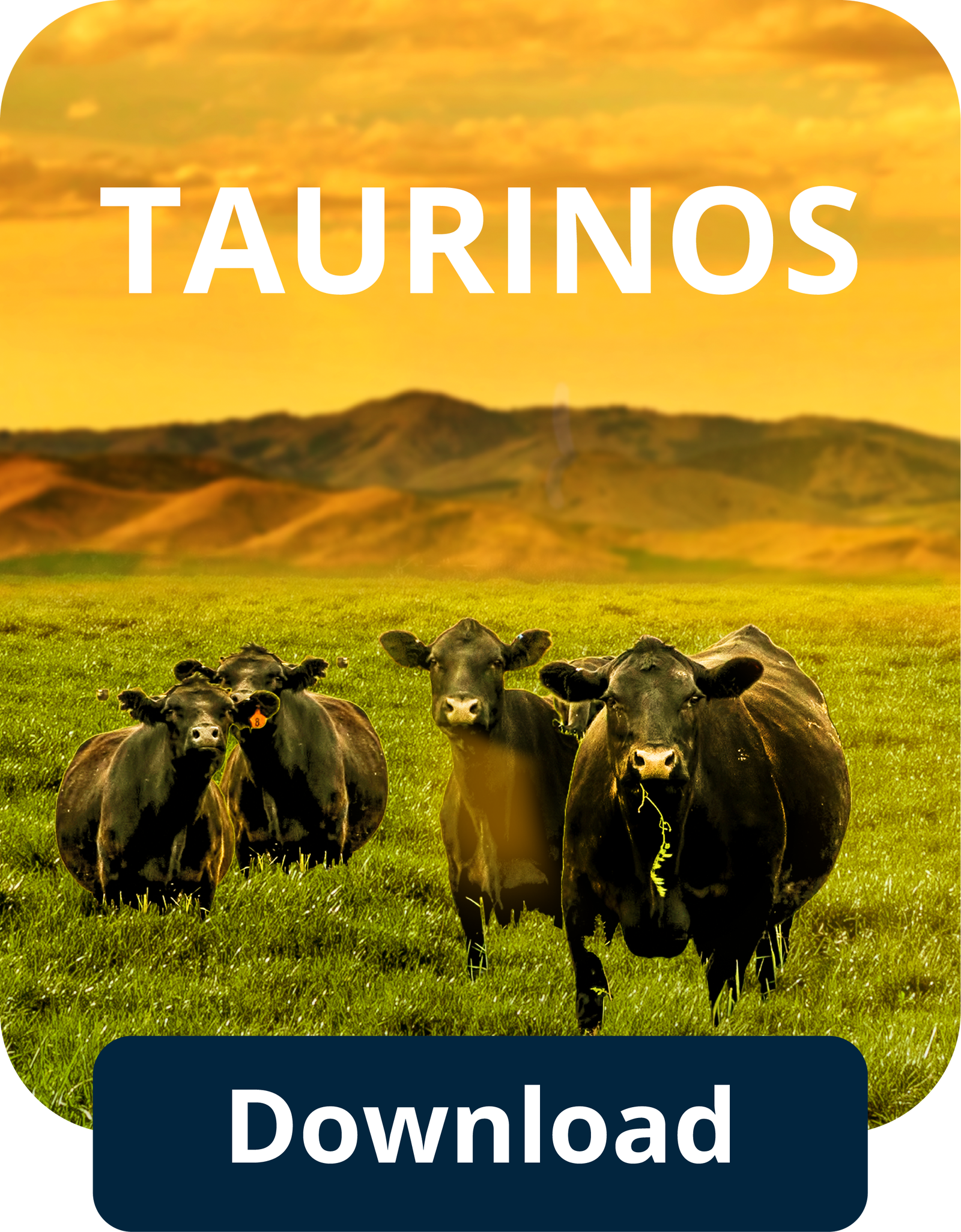 Taurinos