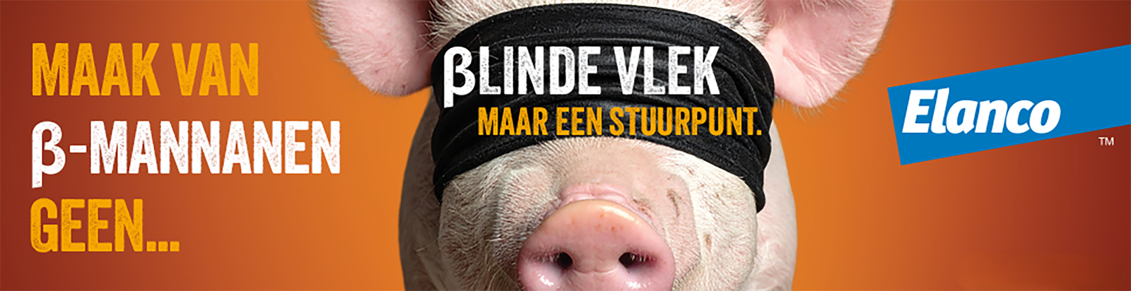 Hemicell-Varken-Banner