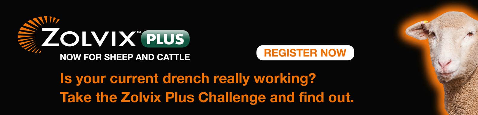 Zolvix Plus for Sheep - Drench Check Challenge - Is your current drench really working?
