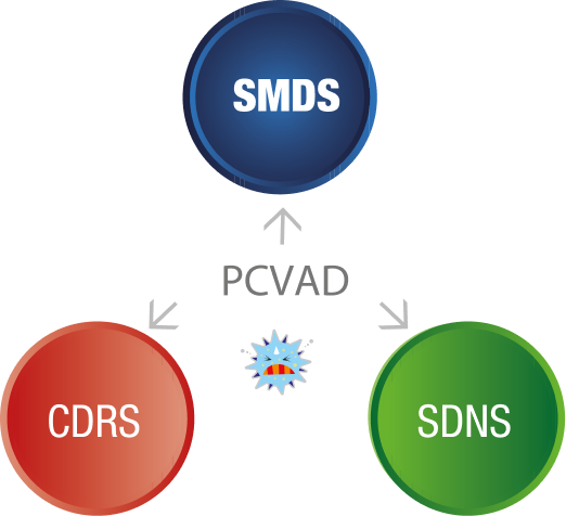 Doenças causadas por PCV2