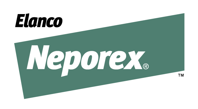 Neporex