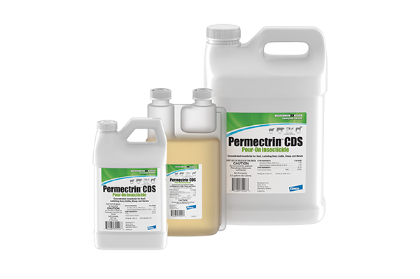 Three plastic jugs of varying sizes for Permectrin CDS Pour-On Insecticide. The smallest is a white, handled jug; the middle is a translucent, squeeze-and-pour measuring jug filled with amber liquid; and the largest is a white, handled jug. All feature a white and green label.
