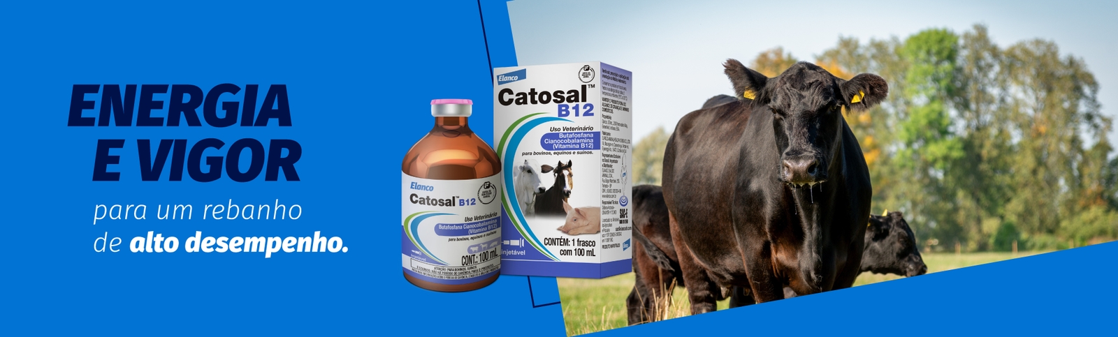 Banner Catosal B12 Energia e Vigor para um rebanho de alto desempenho