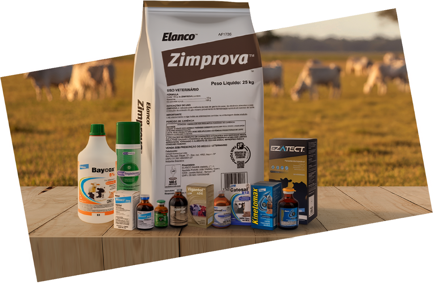 Cria Saudavel Produtos